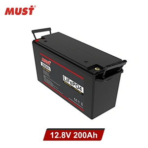 MUST 12 volt lithium battery charger Lithium Ion Battery 100ah 200ah Lithium Ion Batteries price