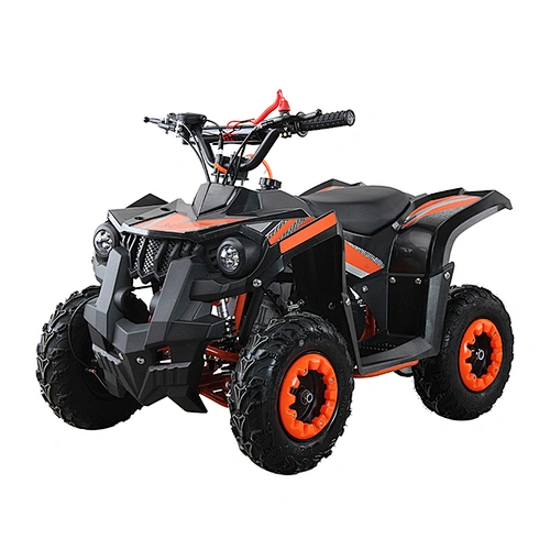 quad bike