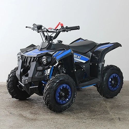 MINI QUAD
