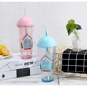 Double wall straw mug