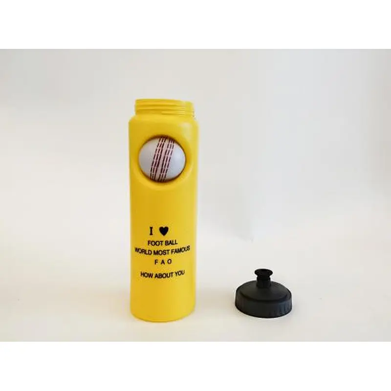 Sports Bottle
