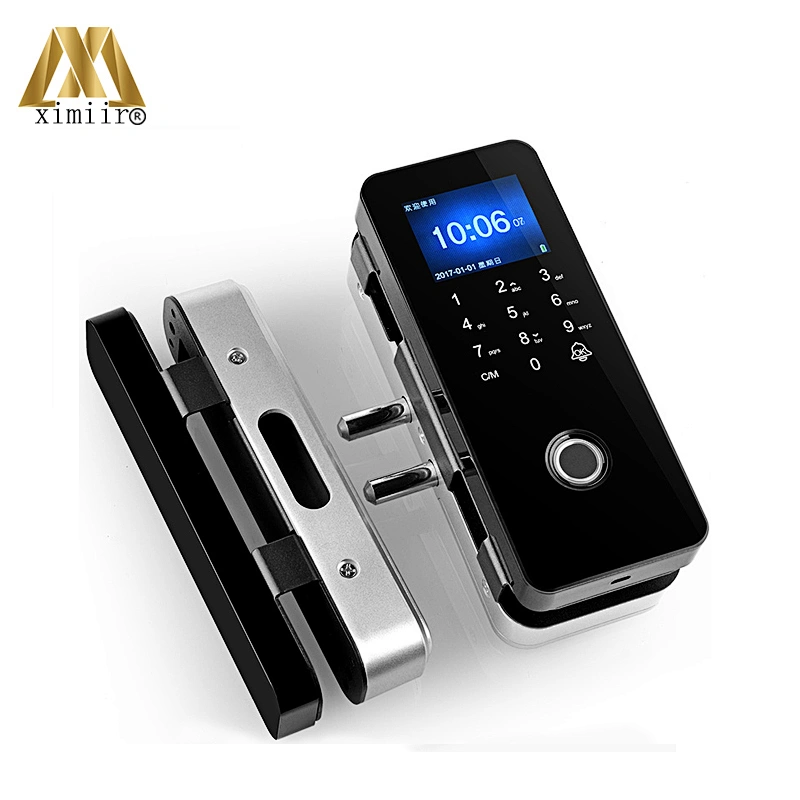 XM308 TFT Screen Remote Control Door Lock  with Card Password for Smart Keyless Password Frameless Glass Door Lock