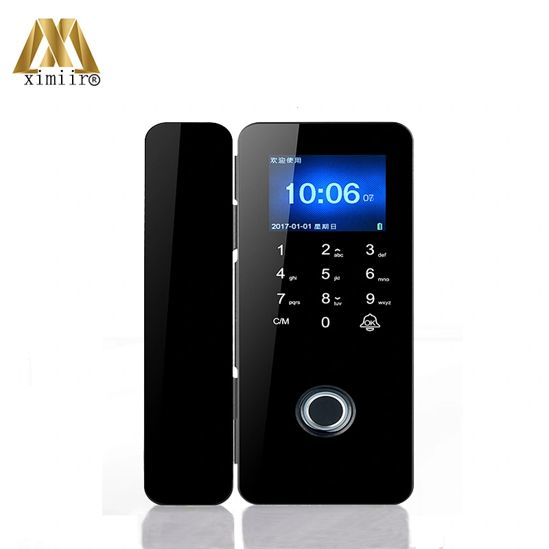 XM308 TFT Screen Remote Control Door Lock  with Card Password for Smart Keyless Password Frameless Glass Door Lock