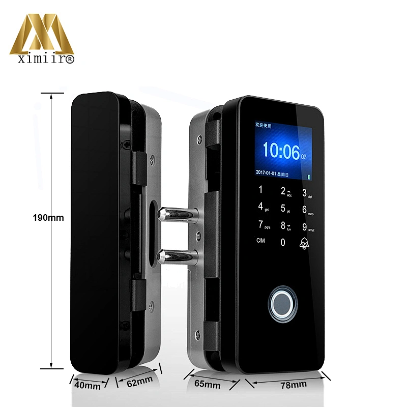 XM308 TFT Screen Remote Control Door Lock  with Card Password for Smart Keyless Password Frameless Glass Door Lock
