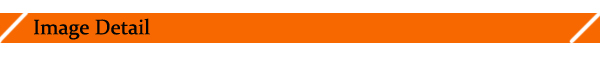 Face recognition time attendance TCP/IP USB communication iface302 face and fingerprint time attendance and access control