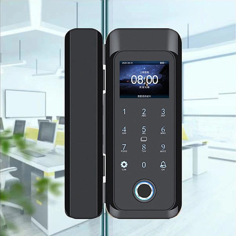 Biometric Fingerprint Electronic Door Lock Frameless Silding Glass Door Lock Fechadura Digital Smart Door Lock Remote Control