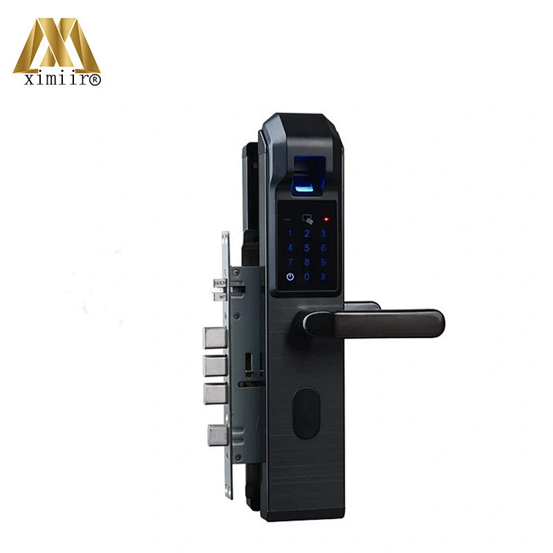 Biometric Fingerprint Door Locks Intelligent Electronic Lock XM-S903 Fingerprint Verification With Password & RFID Door Lock
