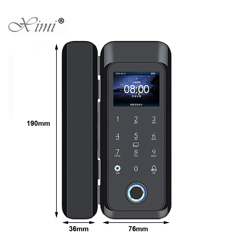 Biometric Fingerprint Electronic Door Lock Frameless Silding Glass Door Lock Fechadura Digital Smart Door Lock Remote Control