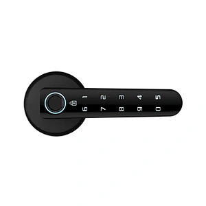 Smart Handle Lock With Tuya TTLOCK APP Remote Control Opening Door Home Office Security Electronic Fingerprint Door Lock