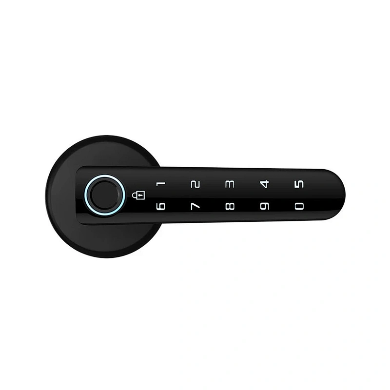 Smart Handle Lock With Tuya TTLOCK APP Remote Control Opening Door Home Office Security Electronic Fingerprint Door Lock