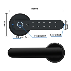 Smart Handle Lock With Tuya TTLOCK APP Remote Control Opening Door Home Office Security Electronic Fingerprint Door Lock