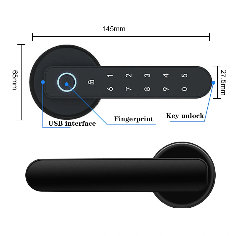 Smart Handle Lock With Tuya TTLOCK APP Remote Control Opening Door Home Office Security Electronic Fingerprint Door Lock