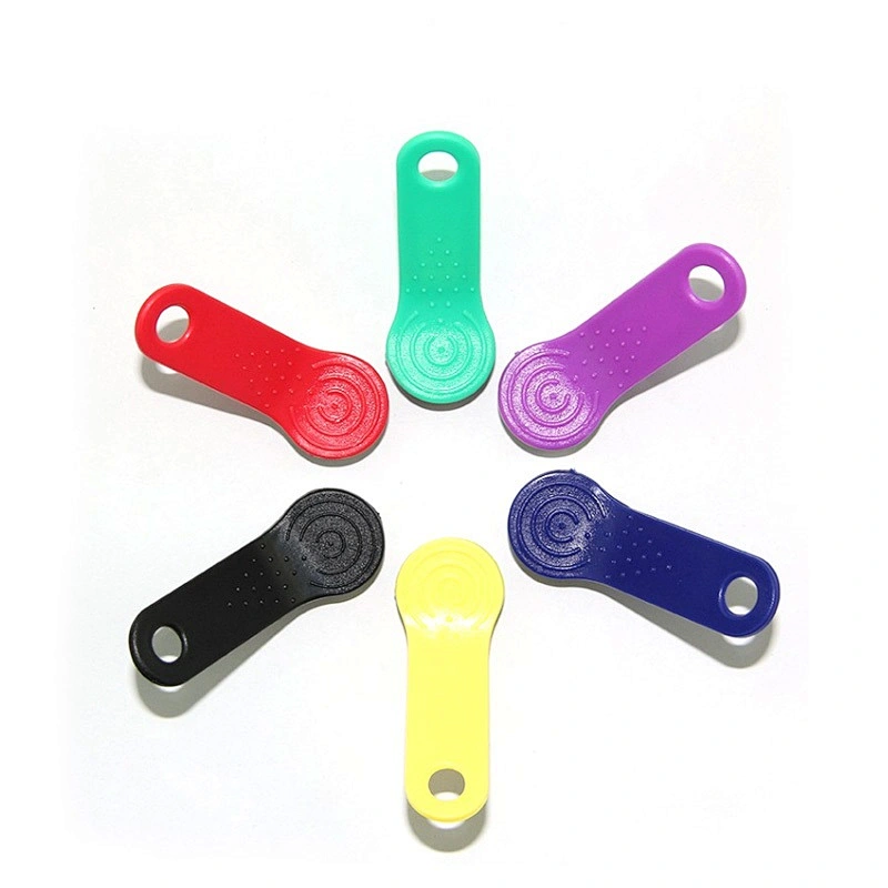 TM1900-F5 iButton reader key for Access control card