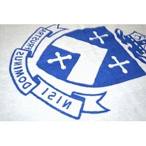 New Arrived OEM Blue and white Terry Logo Embossed bath towel