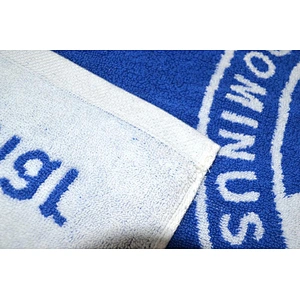 New Arrived OEM Blue and white Terry Logo Embossed bath towel