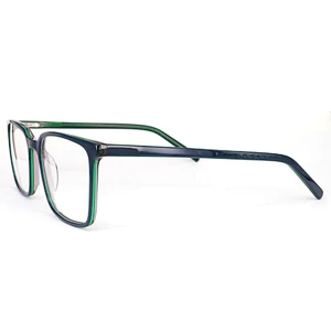 FB5528 Latest model spectacle frame vogue optical glasses new trend acetate eyewear