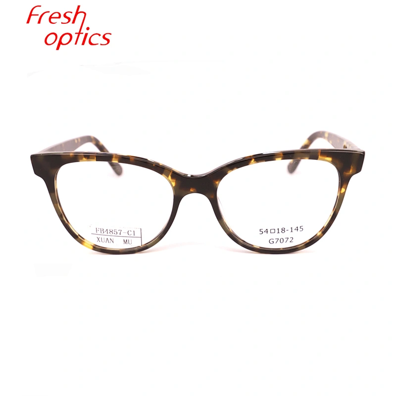 FB4857 Changeable color eyeglass frames acetate material optic eyeglasses frame