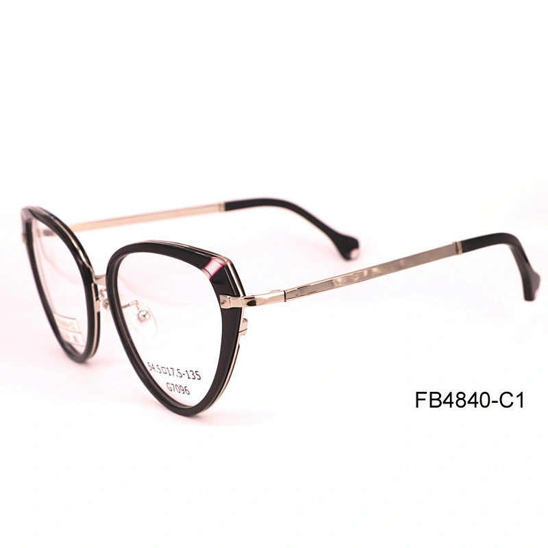 FB4840 fashion acetate optical frame spectacle frame eyewear frame italy in China