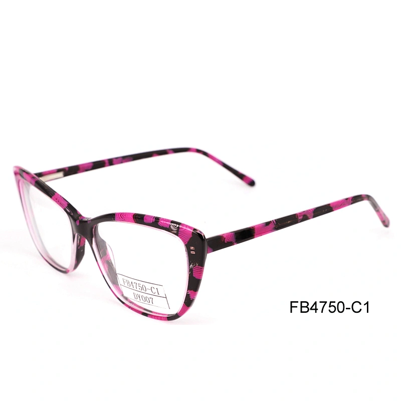 FB4750 Girl Fashion Eyewear Frames, Purple Optics Frames with Heart Shape Design