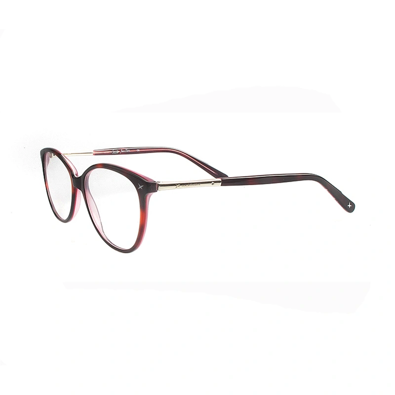 China branded eyewear frames