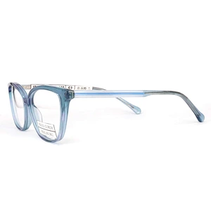 FB5533 Trending hot products famous brands glasses frame acetate optical frame wholesale