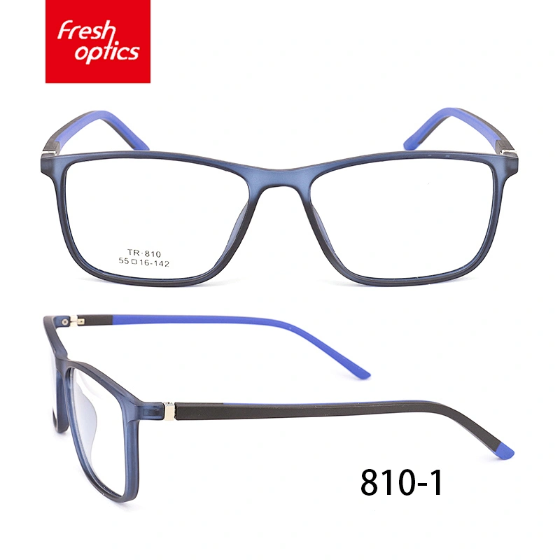 810 Wholesale wear-resisting classical tr90 round optical frames