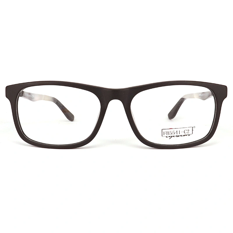 FB5541 Popular acetate nice optical for glasses metal temple brand acetate frames