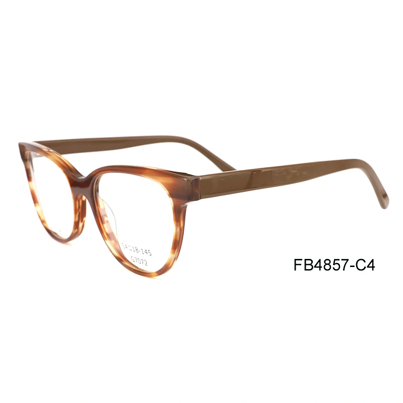 FB4857 Changeable color eyeglass frames acetate material optic eyeglasses frame