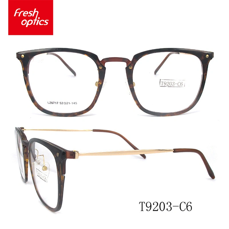 T9203 Factory custom modern luxury tr90 optical glasses frames for promotions