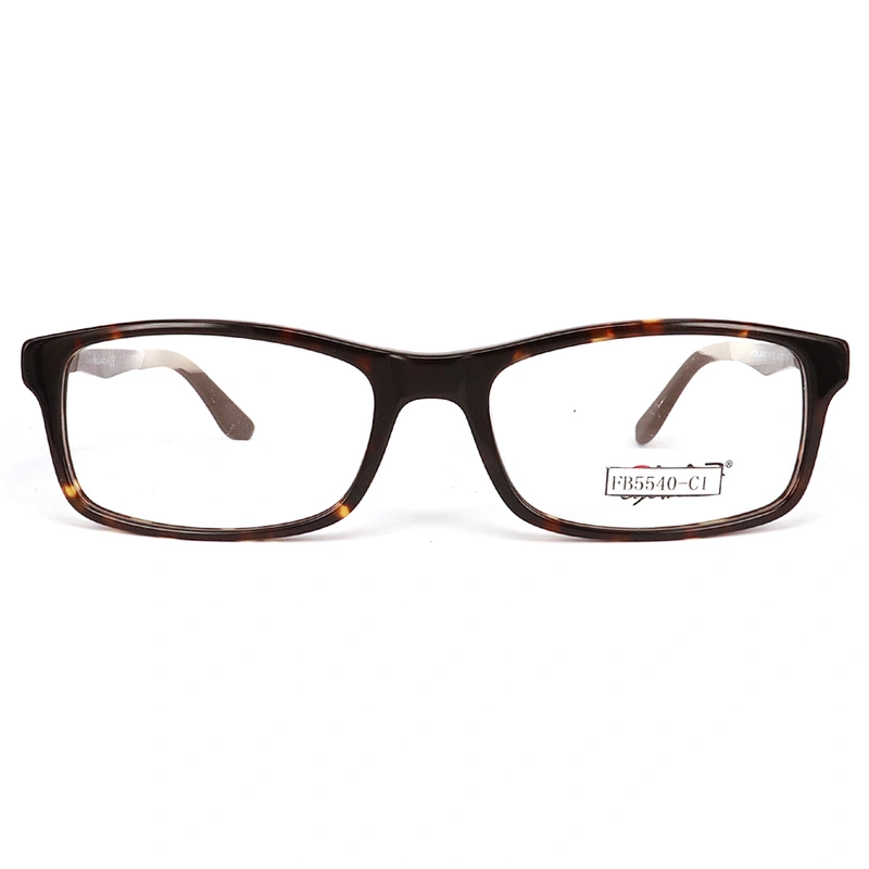FB5540 Latest model spectacle frame metal temple eyeglasses frame acetate eyewear frames