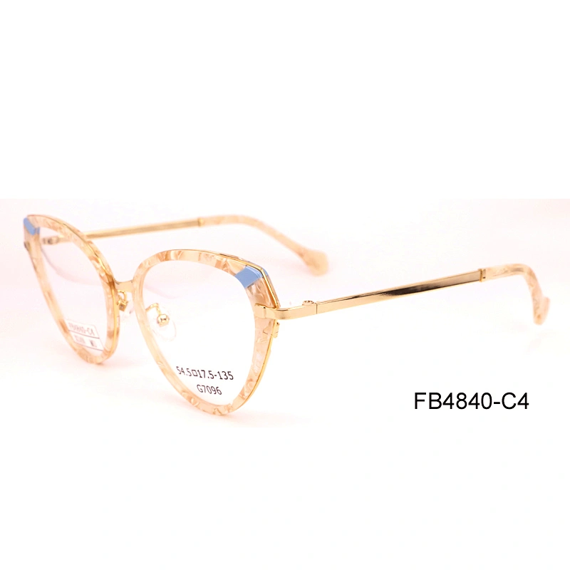 FB4840 fashion acetate optical frame spectacle frame eyewear frame italy in China