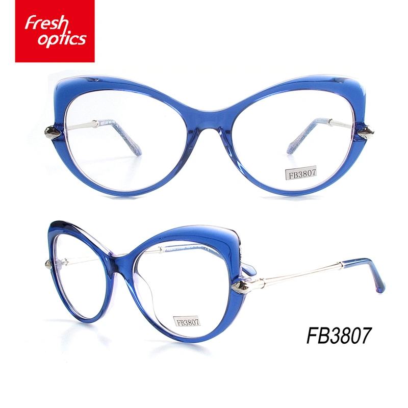 FB3807 Personality design optical frames,Acetate optical eyewear frames with metal temple