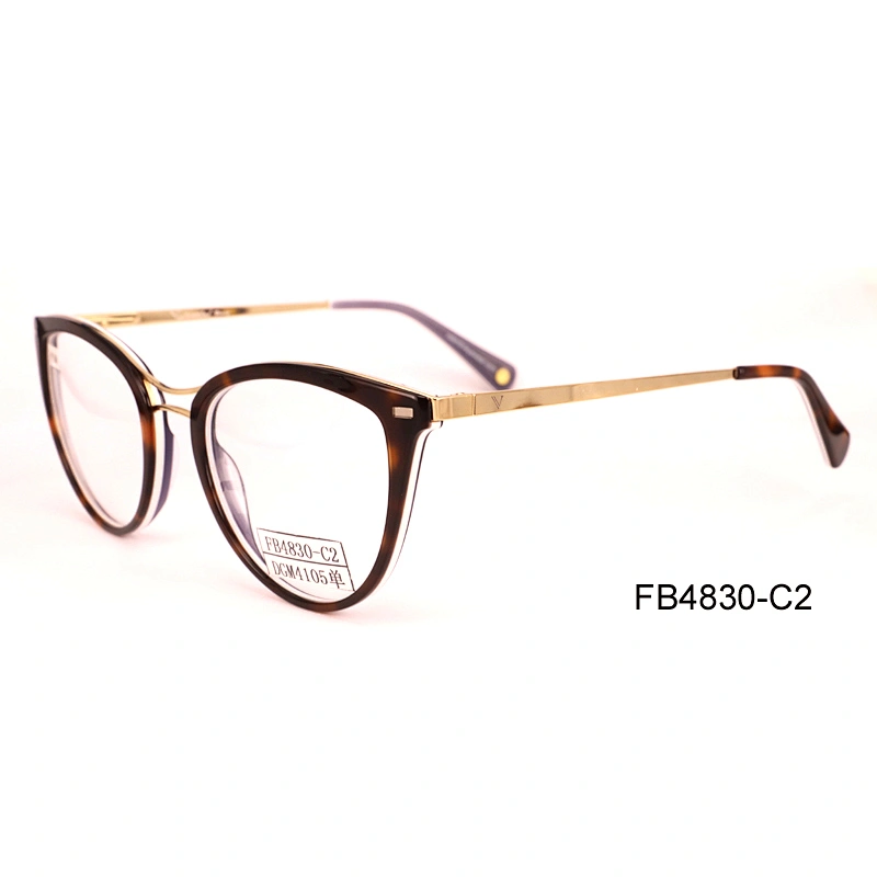 FB4830 Trending hot products spectacle frames cheap acetate eyeglasses