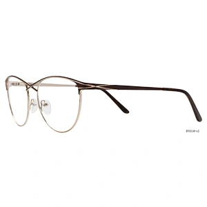 Fashion design stainless prescription designer eyeglasses