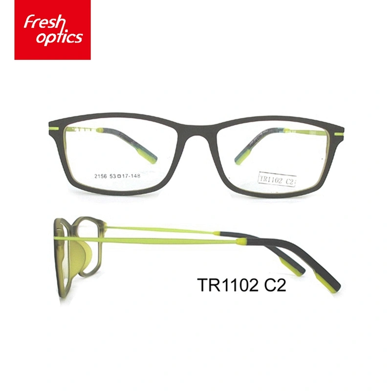 TR1102 new popular fashionable design branded titanium glasses frames