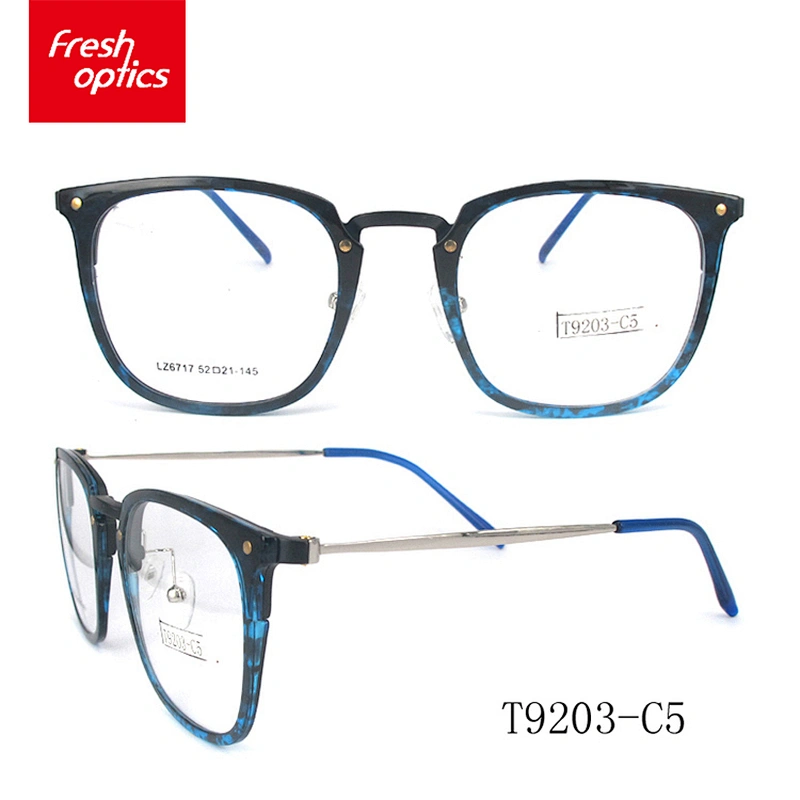 T9203 Factory custom modern luxury tr90 optical glasses frames for promotions