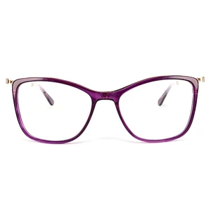 FB5521 Latest designer european fashion eyewear new model high quality acetate glasses