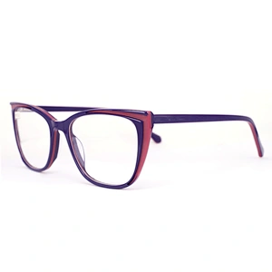 FB5413 China wholesale eyeglasses frame cheap plastic glasses frame popular acetate eyewear