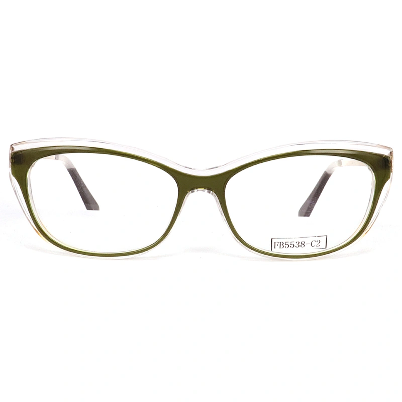 FB5538 New style hotsell eyewear special metal temple eyeglasses frame suppliers glasses acetate