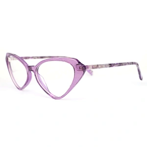 FB5414 Fashion european designer eyeglasses new model eyewear fancy acetate eyewear