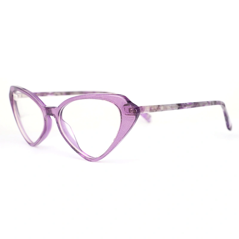 FB5414 Fashion european designer eyeglasses new model eyewear fancy acetate eyewear