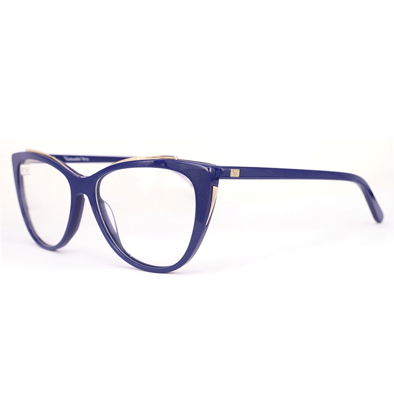 FB5446 Fashion design optical eyewear frame innovative glasses brand acetate frames