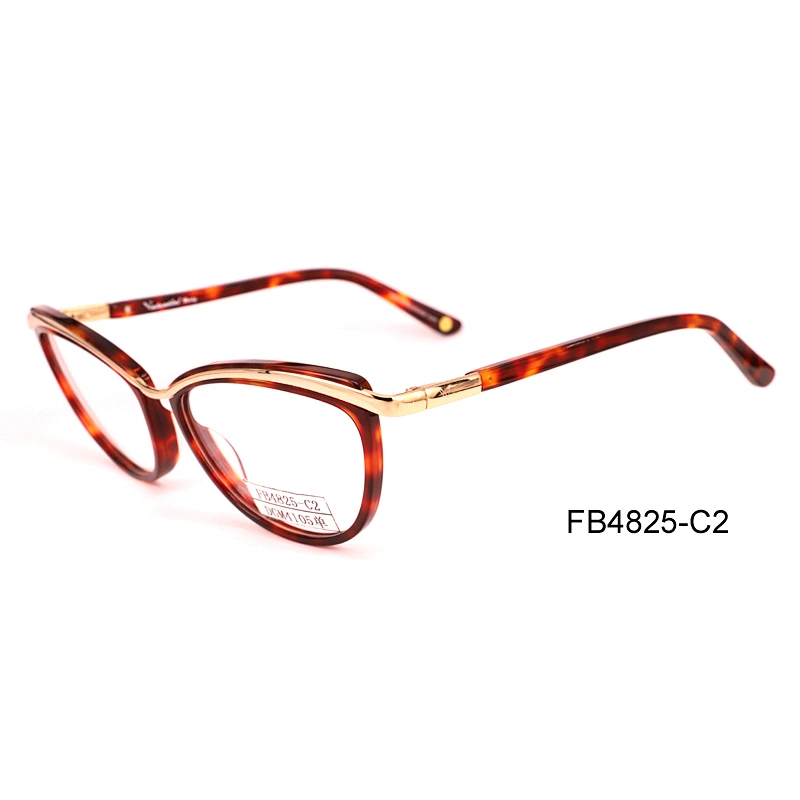 FB4825 China factory new fashion acetate shenzhen optical frames acetate frames luxury