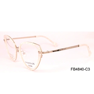 FB4840 fashion acetate optical frame spectacle frame eyewear frame italy in China
