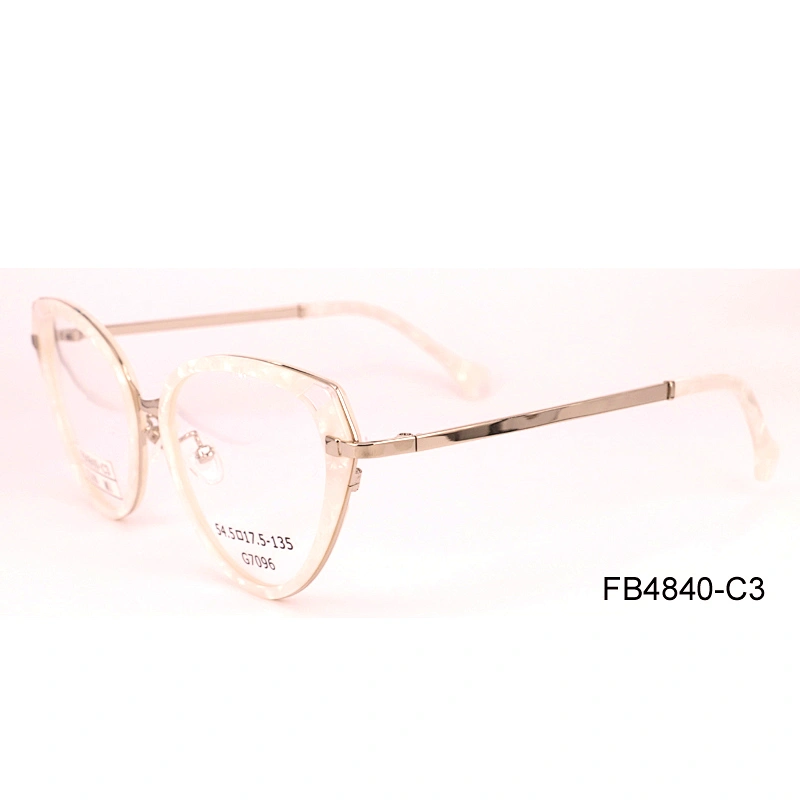 FB4840 fashion acetate optical frame spectacle frame eyewear frame italy in China