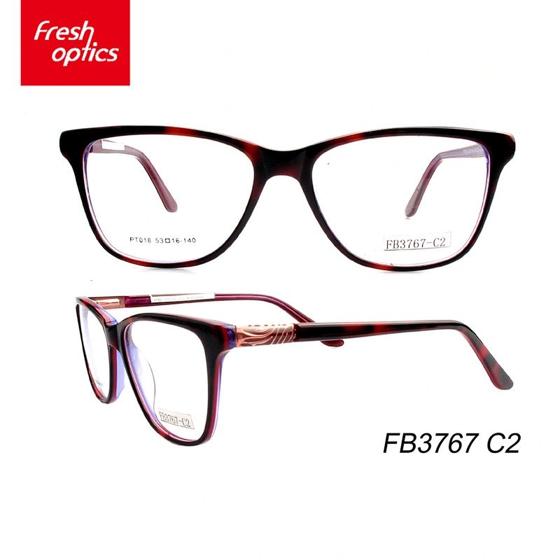 FB3767 Acetate Popular Eyewear Optical Frame,Optical Eyewear Glasses Frame