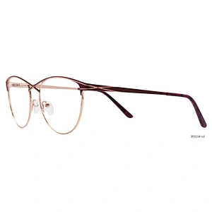 Fashion design stainless prescription designer eyeglasses