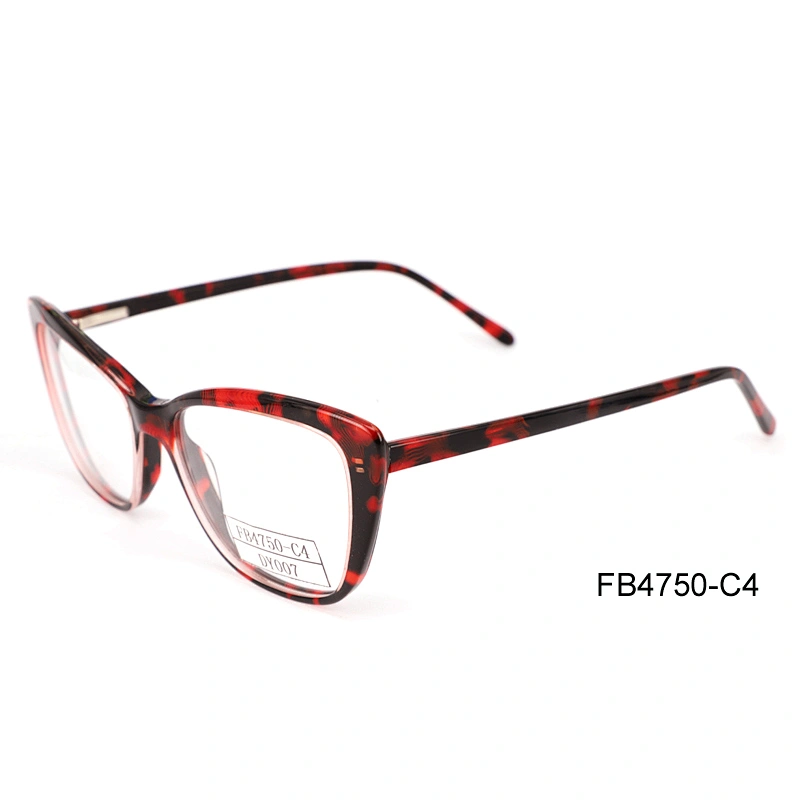 FB4750 Girl Fashion Eyewear Frames, Purple Optics Frames with Heart Shape Design