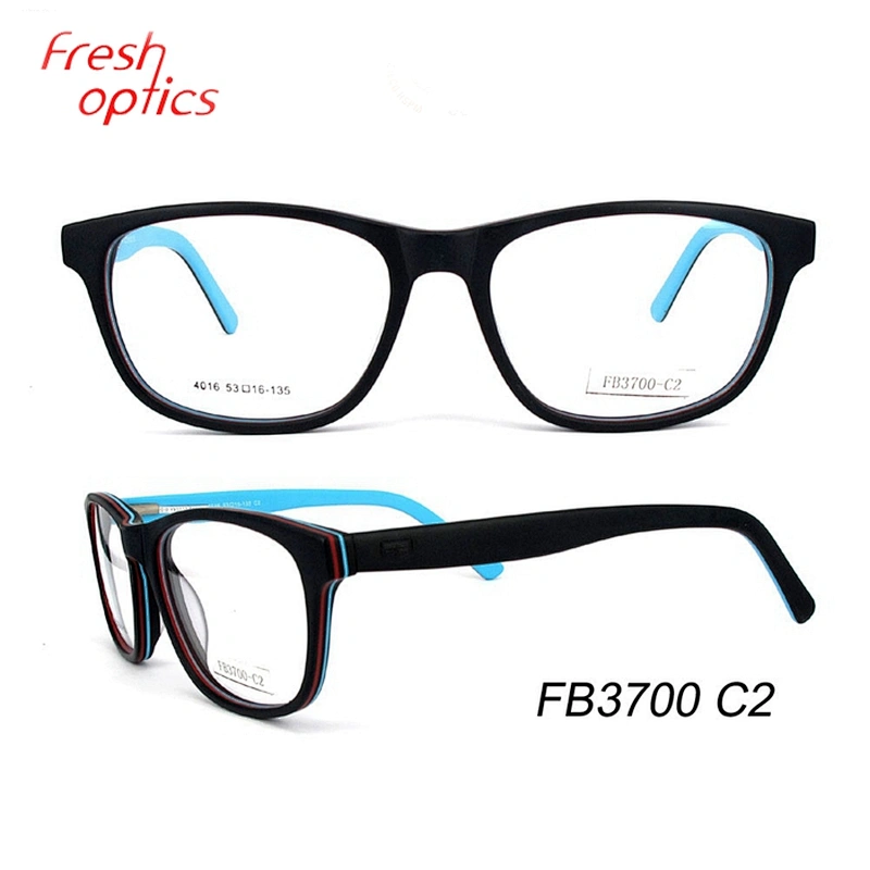 hot sale new product with new style eyewear frames