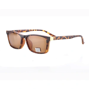 L3603 Cheap acetate stylish spectacles optical frames for sale